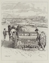 Agricultural Scenes, February, drilling Barley